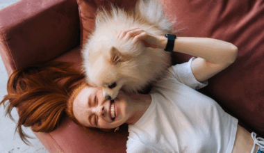 Pet owners in Britain pay steepest insurance cost in Europe - report