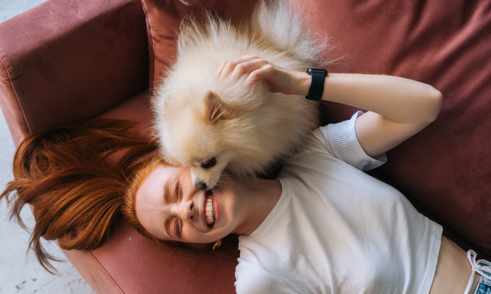 Pet owners in Britain pay steepest insurance cost in Europe - report