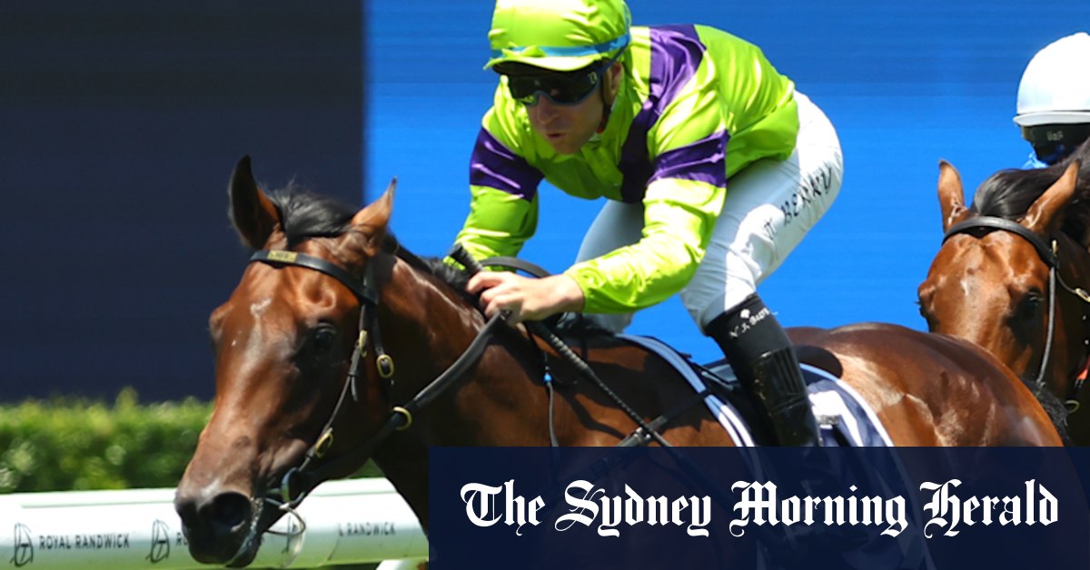 Michael Freedman’s fingers crossed for better luck with Pallaton