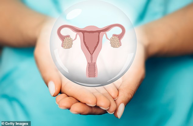 File image: Menopause occurs around midlife, when the ovaries run out of functioning eggs ¿ and this leads to a natural decline in oestrogen levels