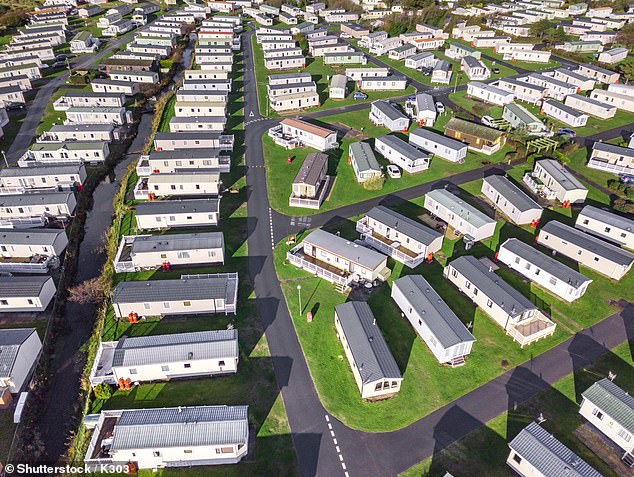 The salesman, who has worked in the industry for over 25 years, explained how 'ruthless' firms see potential buyers as 'wallets to empty' with agents forced to say anything in order to make a sale (stock image)