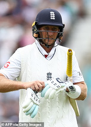 David Warner hit out at Joe Root (pictured) for not yet scoring a hundred in Australia
