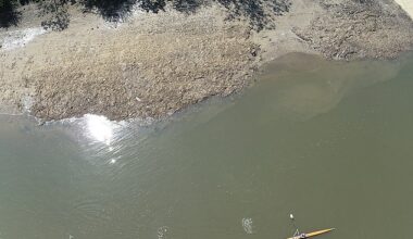 A huge 180 ton 'Wet Wipe Island' is set to be removed from the River Thames