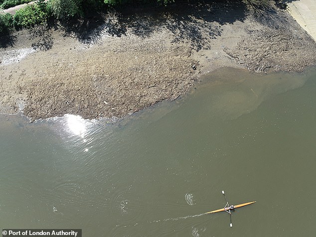 A huge 180 ton 'Wet Wipe Island' is set to be removed from the River Thames