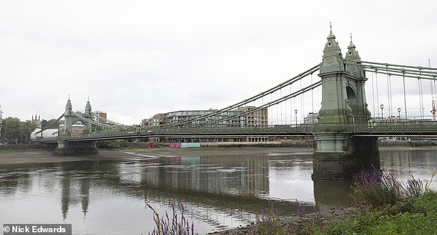 The island sits along a 250-metre stretch of the Thames near Hammersmith Bridge