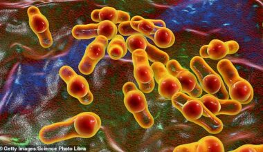 The baby fell ill after eating peanut butter that turned out to be contaminated with the bacteria