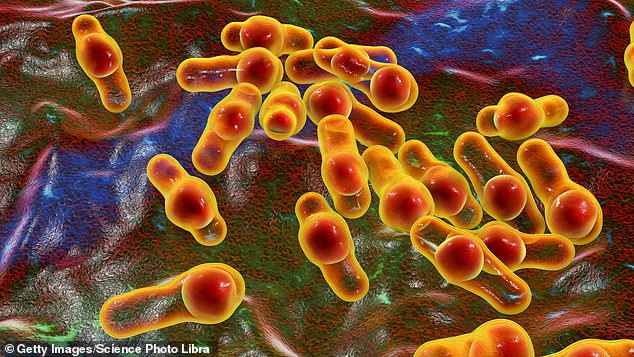 The baby fell ill after eating peanut butter that turned out to be contaminated with the bacteria