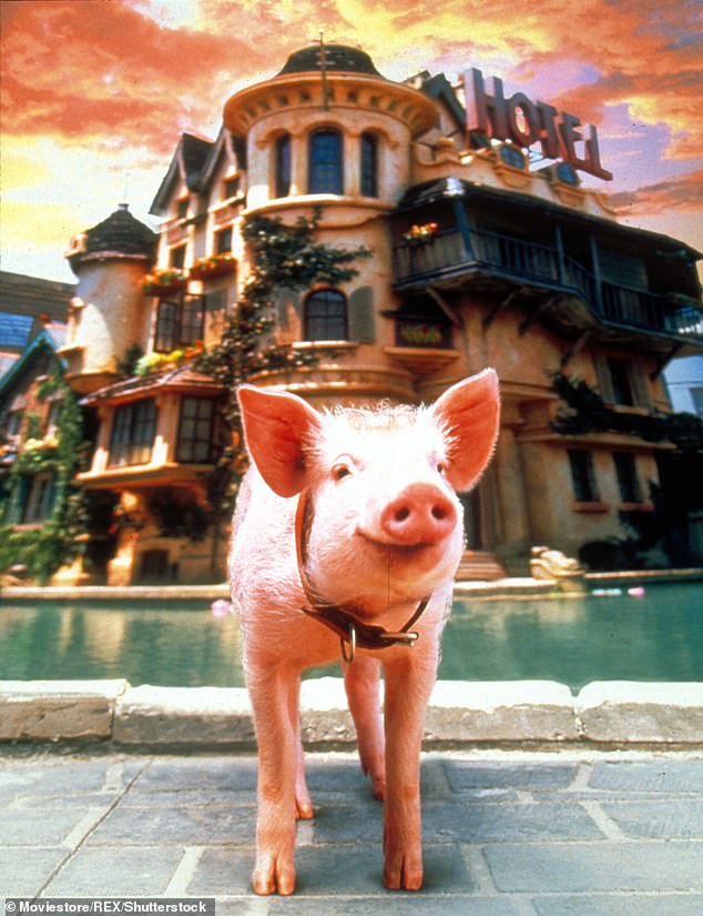 One magazine even slapped the headline 'A Weighty Issue' on a 1996 piece comparing her figure to Babe the Pig