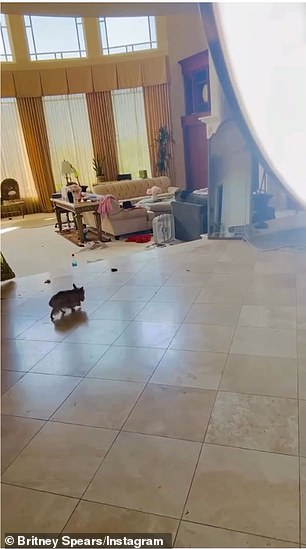 She was bizarrely vocalizing in the messy living room of her $10M Thousand Oaks mansion