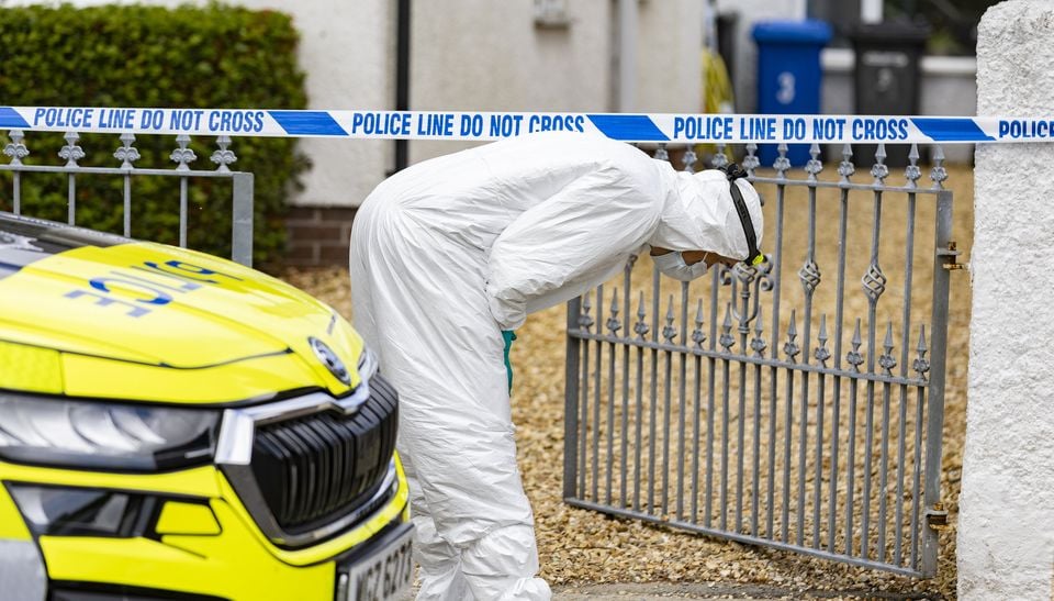 Police at the scene of a murder in the Slievenabrock Avenue area of Newcastle on August 25th 2025 (Photo by Kevin Scott)