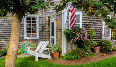 Yahoo news home