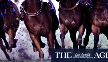 Race-by-race preview and tips for Tuesday meeting at Moruya