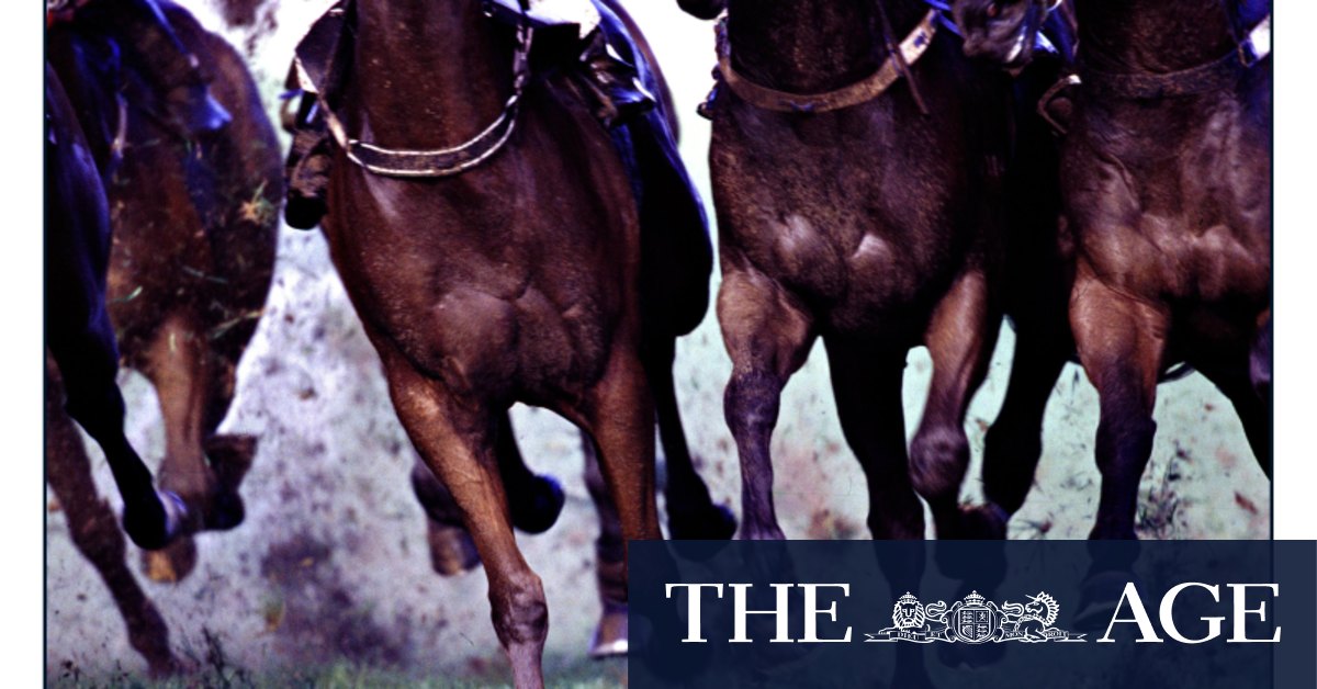 Race-by-race preview and tips for Tuesday meeting at Moruya