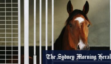 Race-by-race preview and tips for Hawkesbury on Tuesday