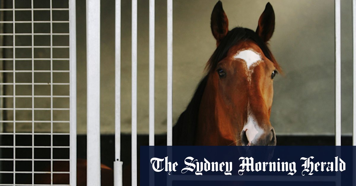 Race-by-race preview and tips for Hawkesbury on Tuesday