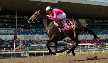 Filly No Time set as 7-2 early favourite for $1-million King's Plate