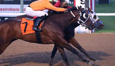 Patterson turning heads at the Downs – Winnipeg Free Press