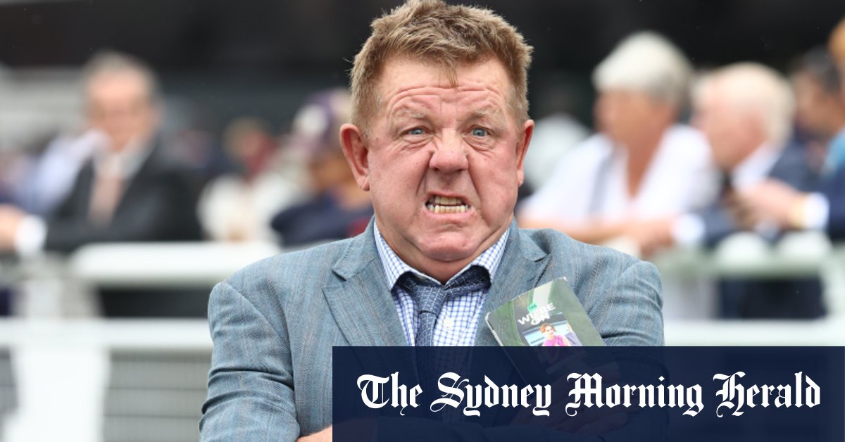 Three-time winner Saratoga Power leads charge for Scone trainer Brett Cavanough