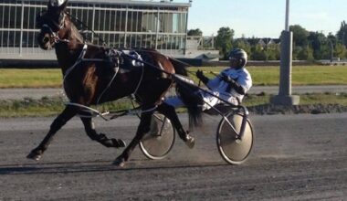 Horse racing community caught off guard by Surrey, B.C., racetrack closure