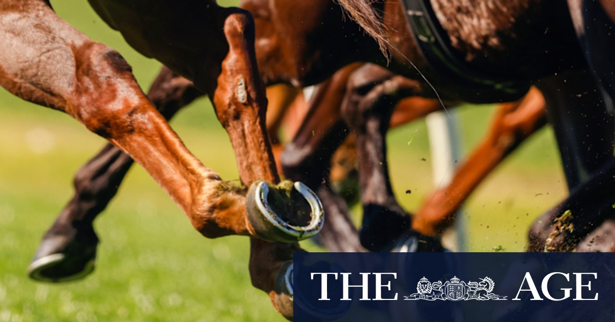 Race-by-race preview and tips for Sunday’s meeting at Goulburn