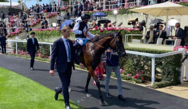 Arlington Million trip with Cairo has Haynes in dreamland