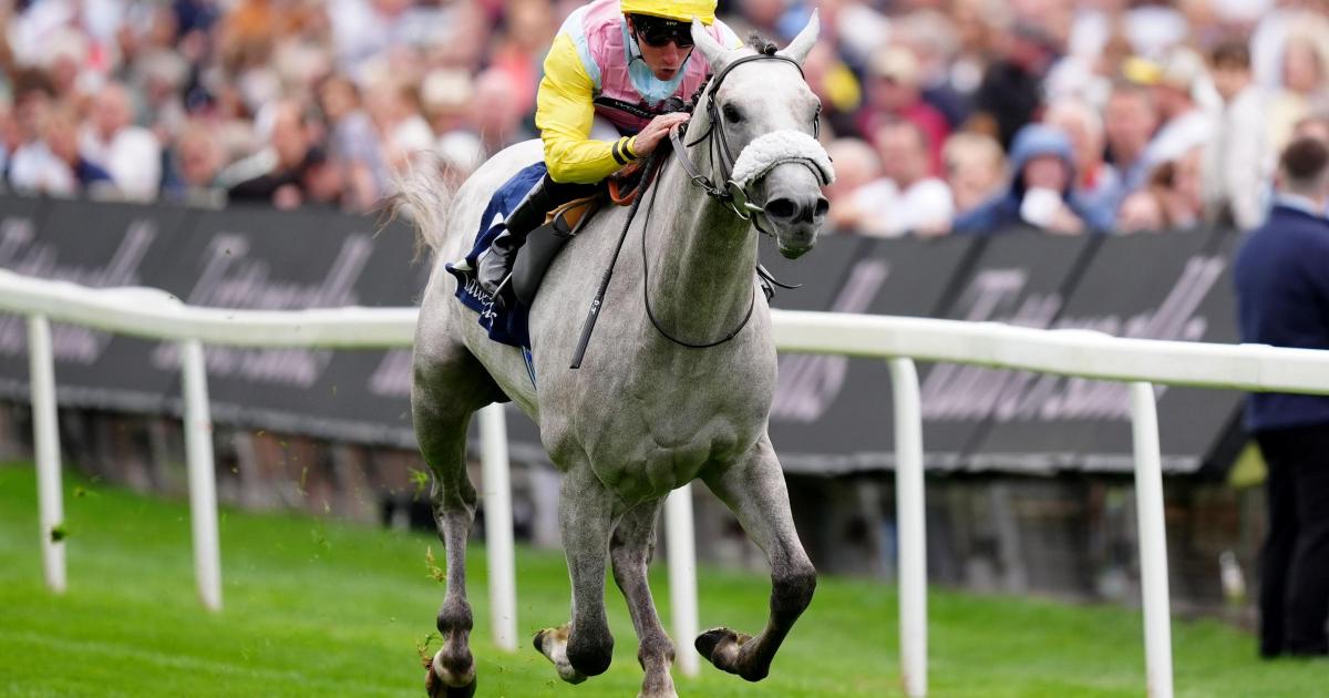 Gewan secures Acomb honours for Andrew Balding