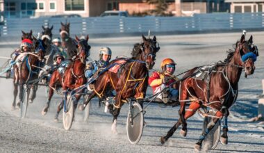 On ‘suicide watch,’ Harness Racing BC asks gov’t to stop Fraser Downs closure
