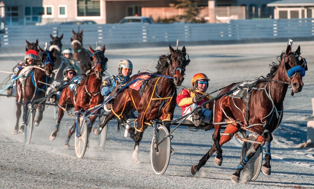 On ‘suicide watch,’ Harness Racing BC asks gov’t to stop Fraser Downs closure