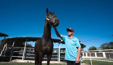 Life's a beach for Kenning in Townsville :: Racing Queensland