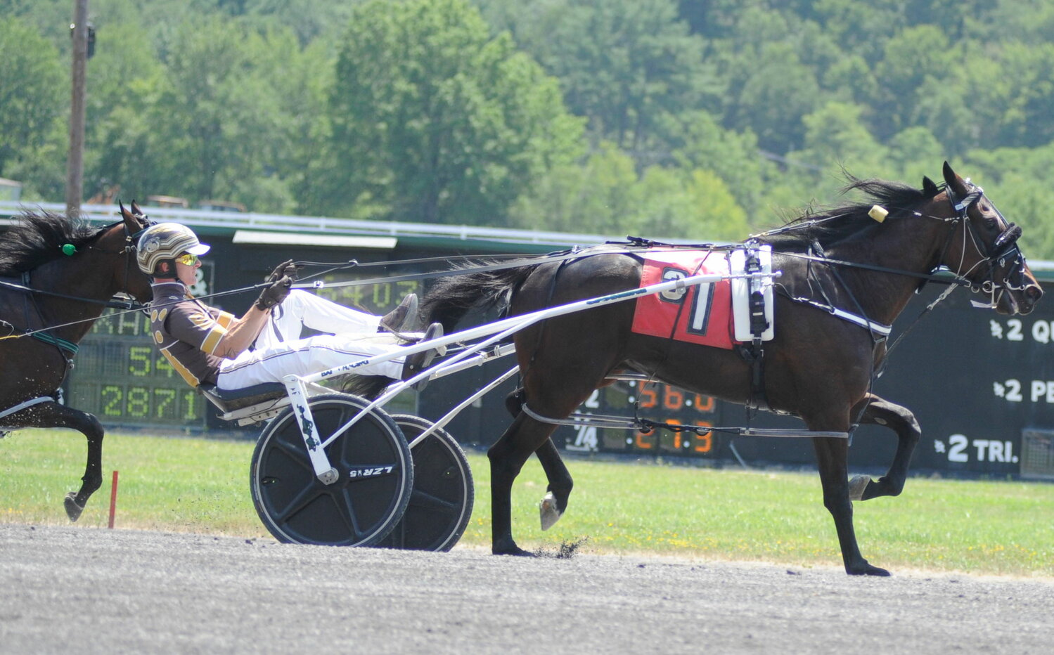 Hunt Off the Press breaks record at the Mighty M