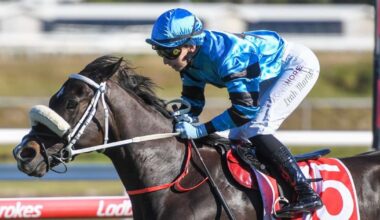 Mint chance for Leah Martyn up north :: Racing Queensland