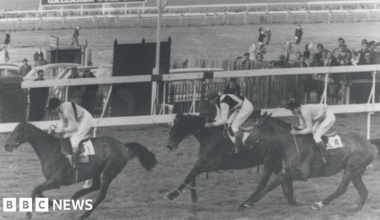 The DeepSeek app from a Chinese AI technology company is displayed on a mobile phone