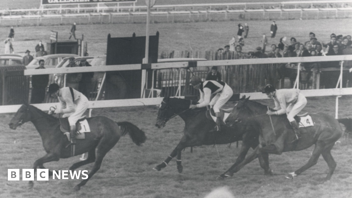 The DeepSeek app from a Chinese AI technology company is displayed on a mobile phone