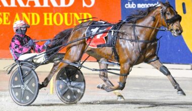 Victorian stars steal the spotlight across tracks nationwide