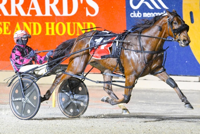 Victorian stars steal the spotlight across tracks nationwide