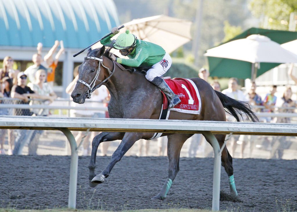 Slew’s Tiz Whiz wins the 2022 Longacres Mile. He’ll try again on Sunday for a second victory in Emerald Downs’ top race. (Photo courtesy Emerald Downs)
