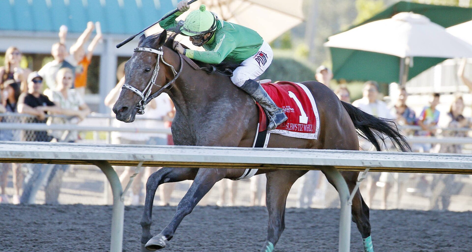 Slew's Tiz Whiz wins the 2022 Longacres Mile. He'll try again on Sunday for a second victory in Emerald Downs' top race. (Photo courtesy Emerald Downs)