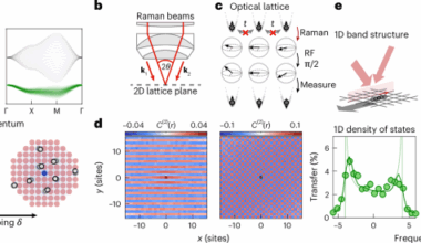 Magnon-polarons in the Fermi–Hubbard model