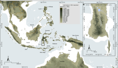 Hominins on Sulawesi during the Early Pleistocene