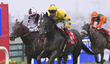 First Galway Festival win for Cork trainer Kevin Coleman