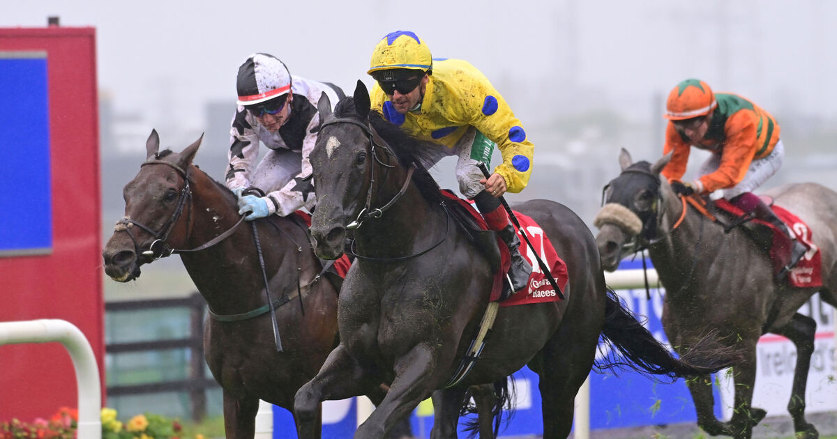 First Galway Festival win for Cork trainer Kevin Coleman