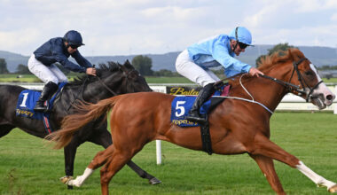 Thesecretadversary lands the spoils in the Coolmore Stud Churchill Stake