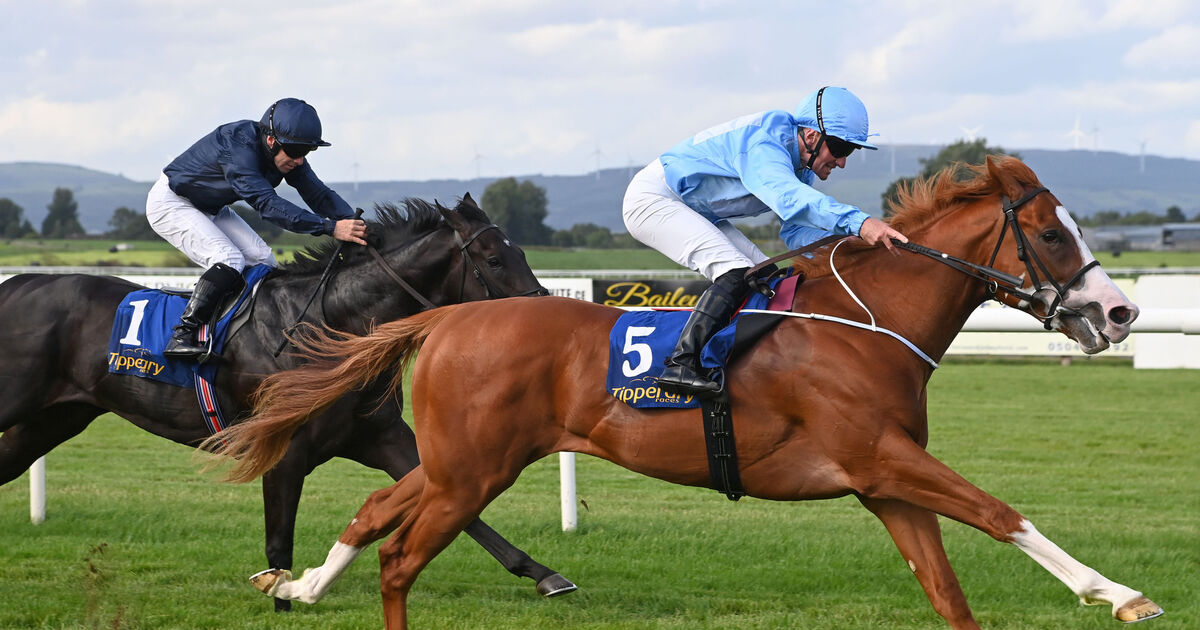 Thesecretadversary lands the spoils in the Coolmore Stud Churchill Stake