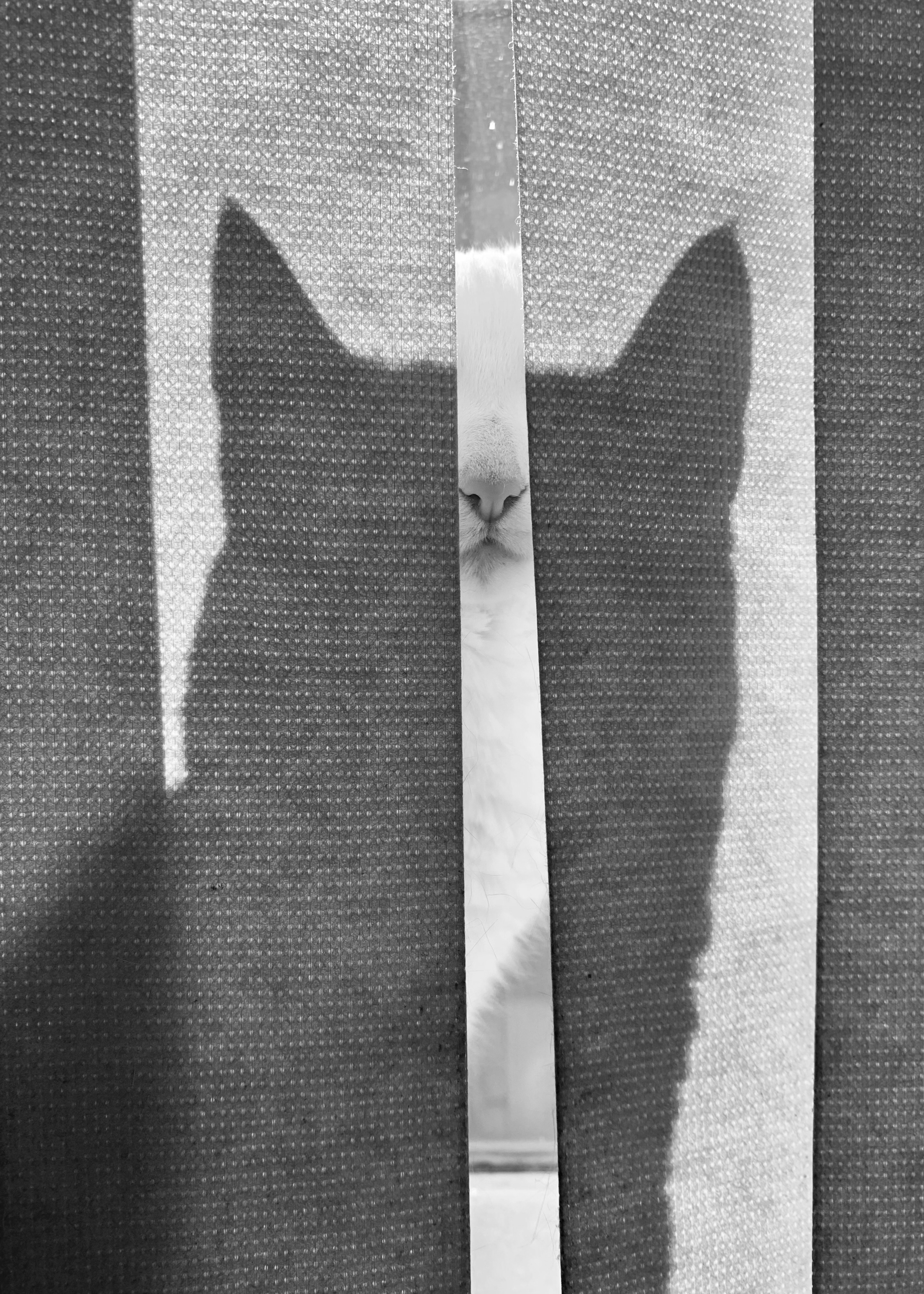 CEWE Photo Award 2025 category winner