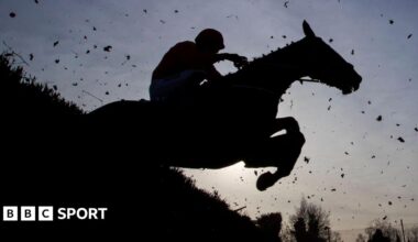 A horse makes a jump at Thurles racecourse