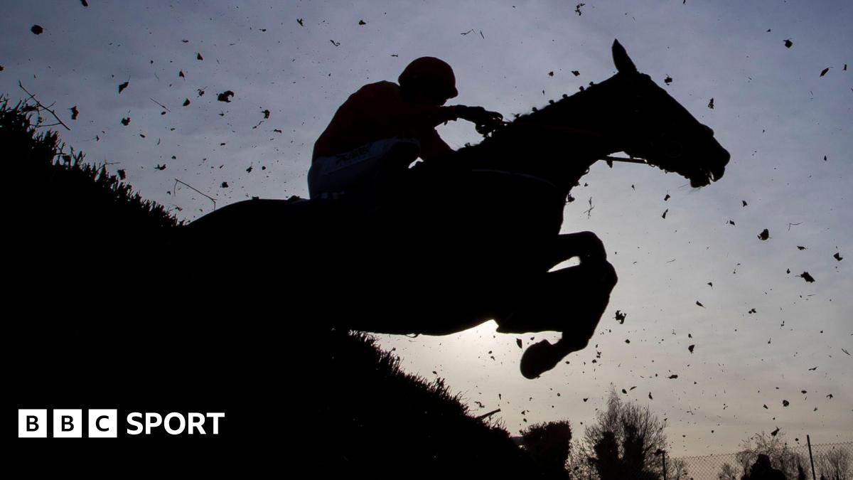 A horse makes a jump at Thurles racecourse
