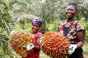 He urged government to prioritise increased production in both crude oil and oil palm