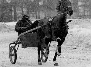 Valley News - A Look Back: How state-sanctioned gambling forced Mac’s Happy Acres to abandon horse racing