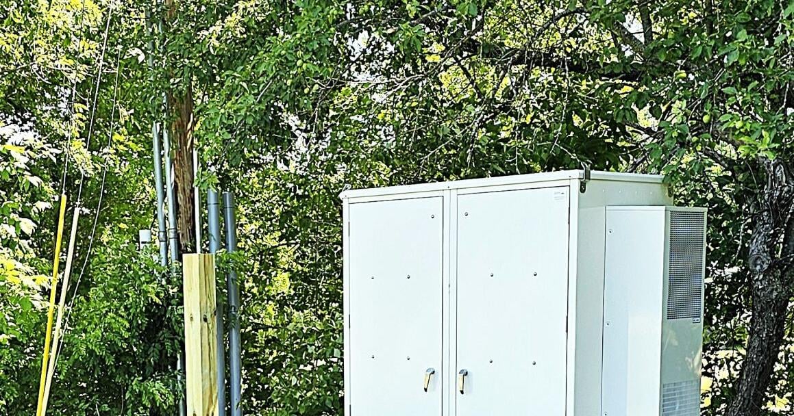 Books and Brownies and Stuff, Oh My! | Belfast Villager