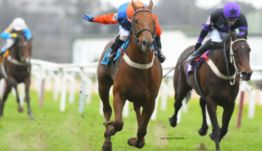 Equal Mostaza, the perfect seasoning for the longest race